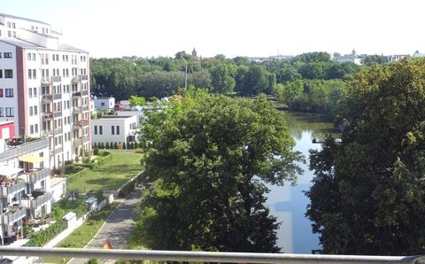 Ausblick Ostseite