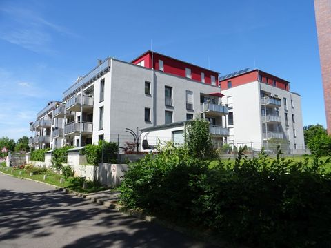 Mehrhausanlage Sophienhafen
